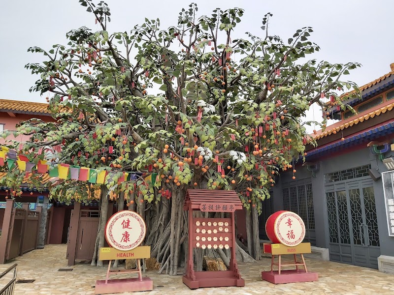Photo 5 at Ngong Ping 360 in 