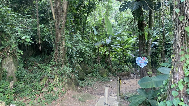 Photo 4 at Las Pailas in Luquillo