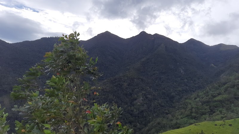 Devil's Staircase in 