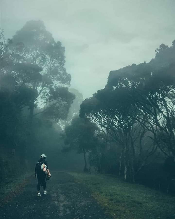 Photo 6 at Devil's Staircase in 