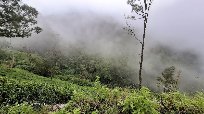 Photo 1 at Devil's Staircase in 