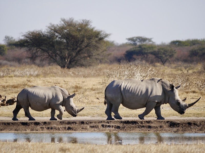 Khama Rhino Sanctuary in Paje