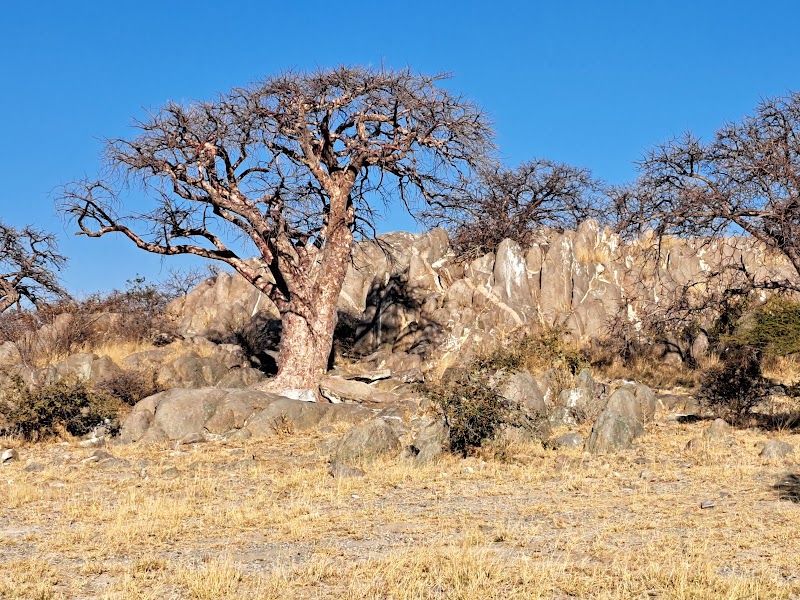 Photo 4 at Khama Rhino Sanctuary in Paje