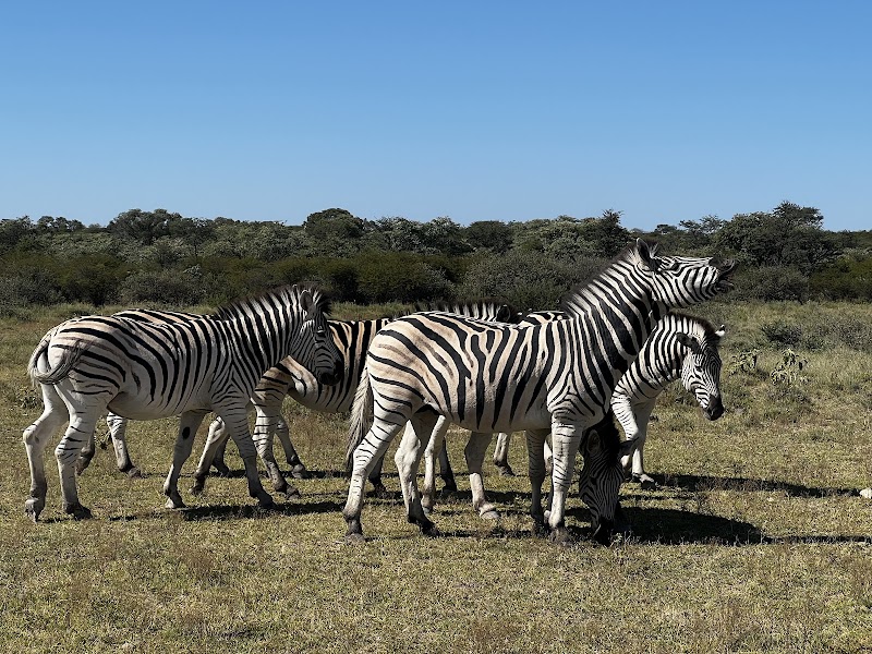 Photo 3 at Khama Rhino Sanctuary in Paje