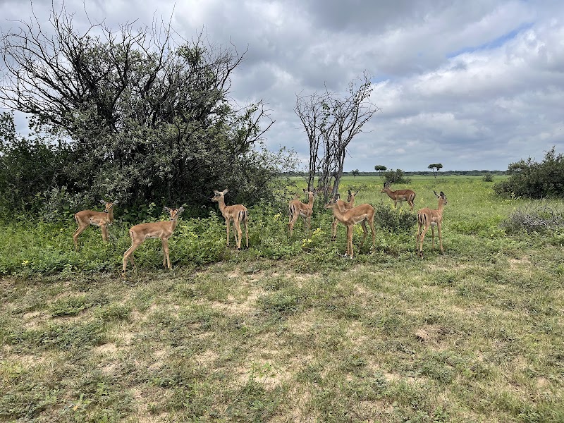 Photo 6 at Khama Rhino Sanctuary in Paje