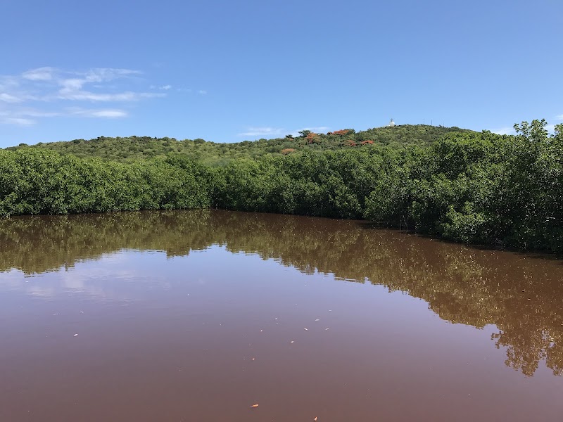 Photo 1 at Reserva Natural Cabezas de San Juan (Para la Naturaleza) in Fajardo