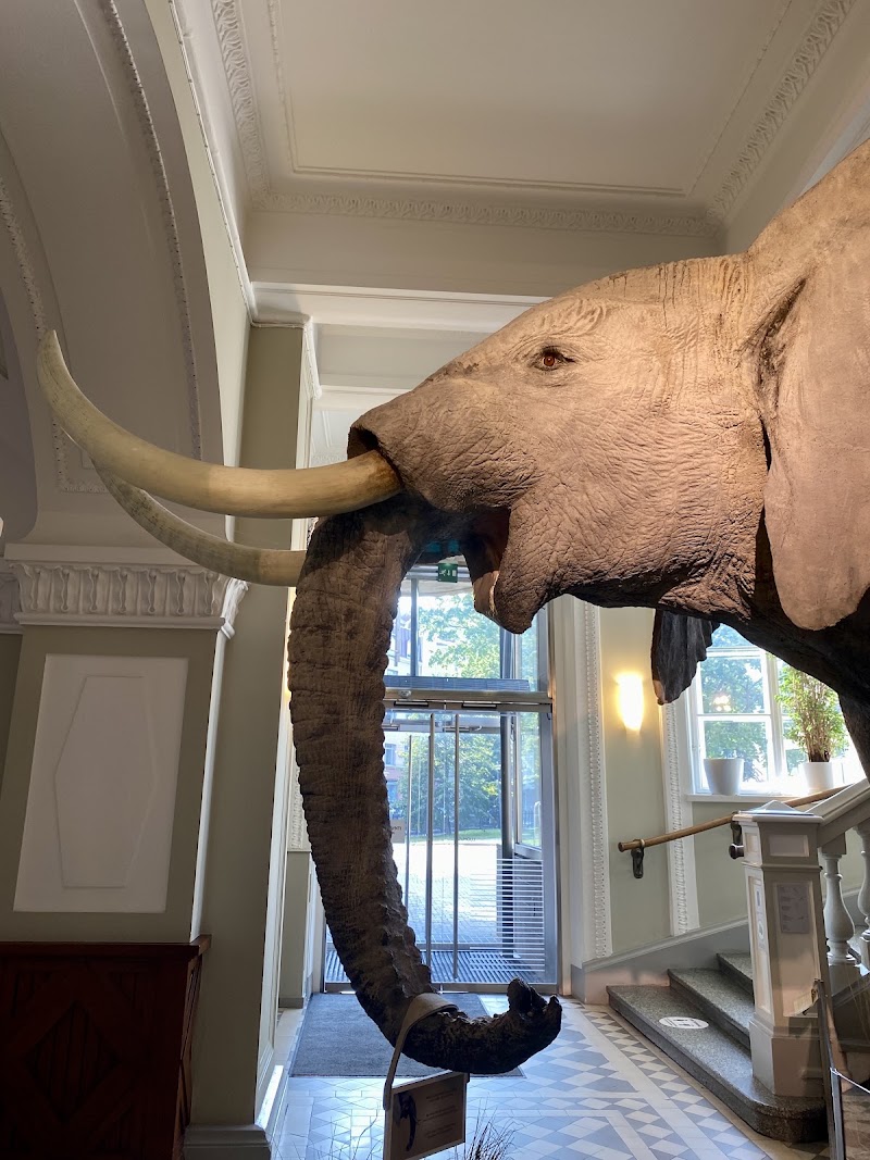 Photo 5 at Natural History Museum in Helsinki