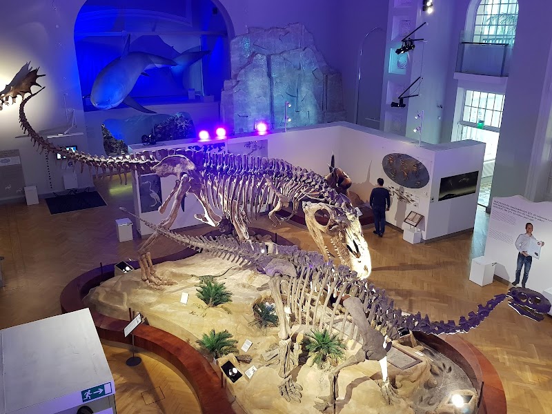 Photo 6 at Natural History Museum in Helsinki
