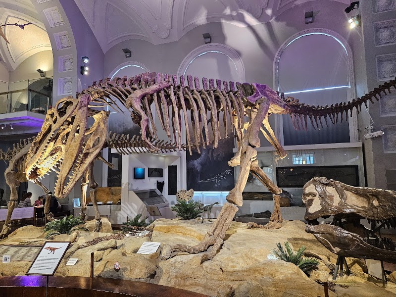 Photo 2 at Natural History Museum in Helsinki