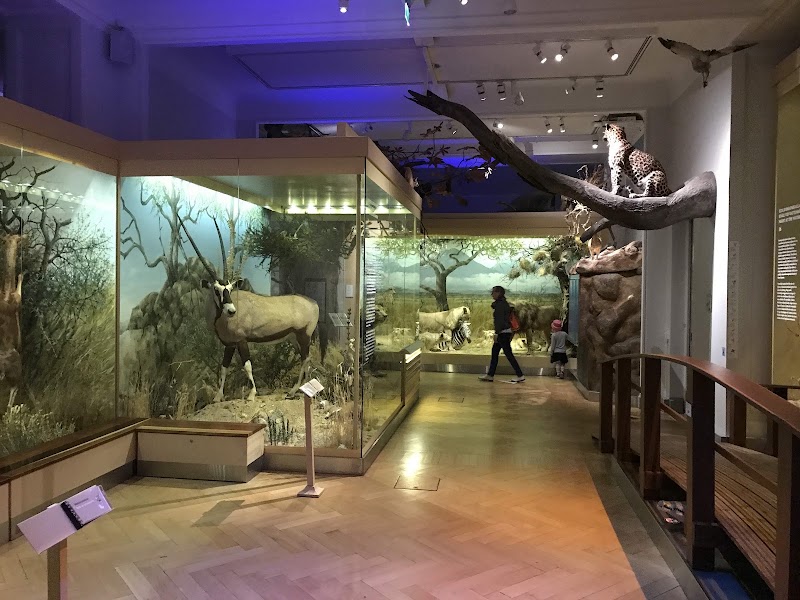 Photo 4 at Natural History Museum in Helsinki