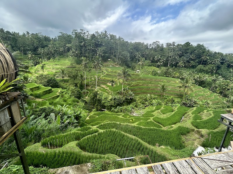 Tegallalang Rice Terrace in Kecamatan Tegallalang