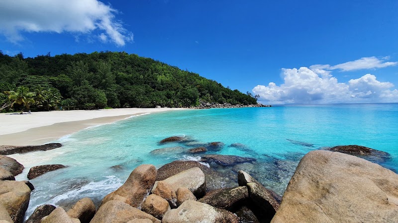 Photo 5 at Anse Georgette in Grand Anse