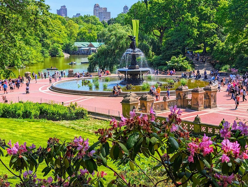 Photo 4 at Central Park in New York