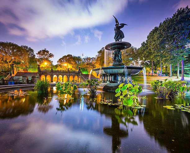 Photo 3 at Central Park in New York
