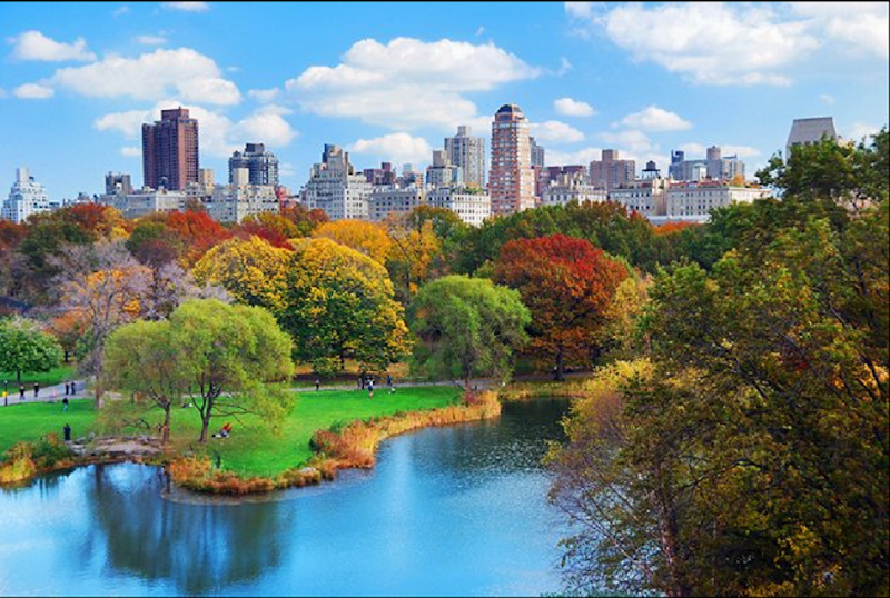 Photo 6 at Central Park in New York