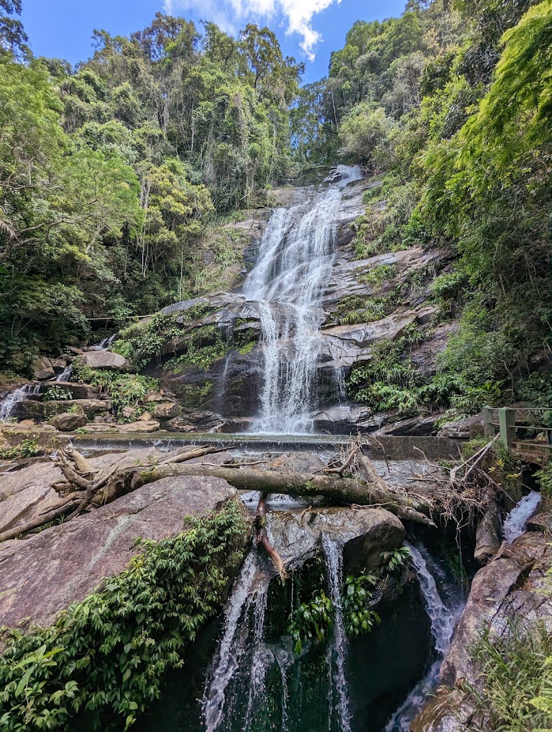 Tijuca National Park in Alto da Boa Vista