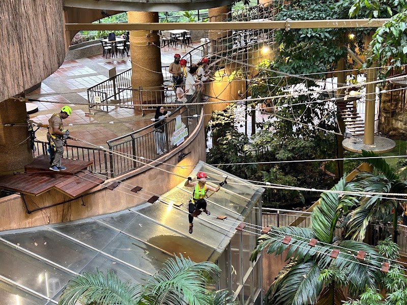 Treetop Adventure Rope Course in Petaling Jaya