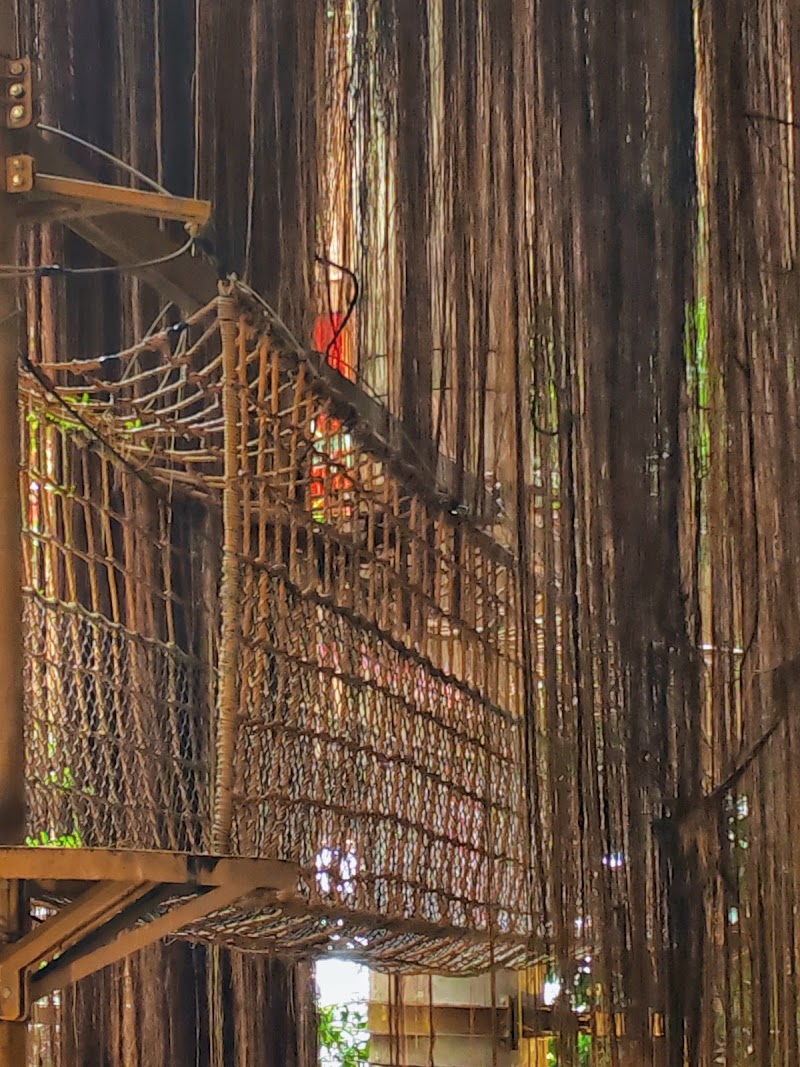 Photo 4 at Treetop Adventure Rope Course in Petaling Jaya