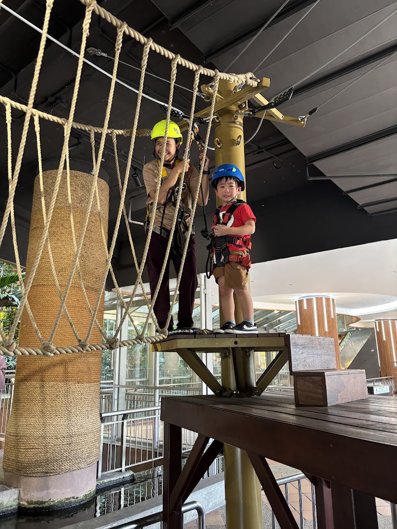 Photo 5 at Treetop Adventure Rope Course in Petaling Jaya