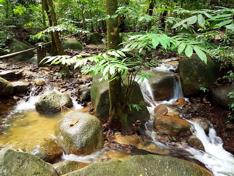 Photo 2 at Forest Research Institute Malaysia (FRIM) in Kepong