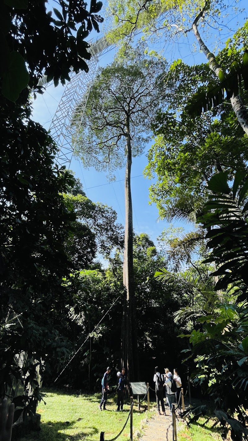 Photo 1 at Forest Research Institute Malaysia (FRIM) in Kepong