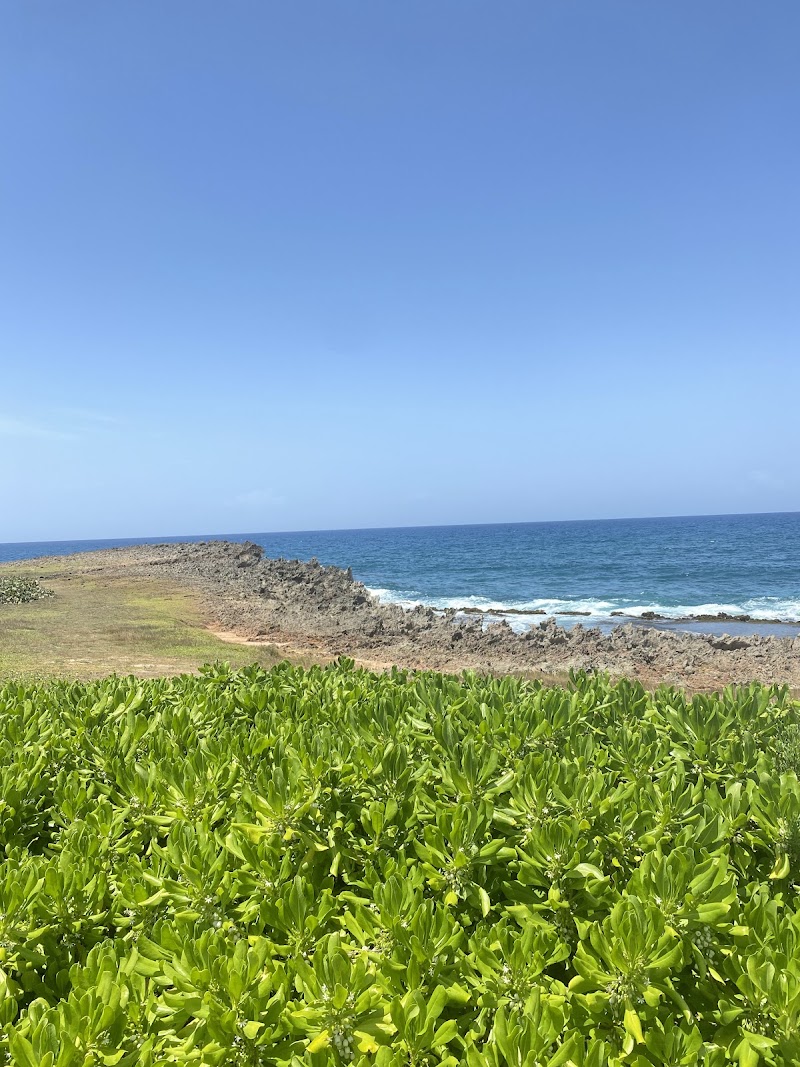 Photo 3 at Cueva Escondida Beach in 