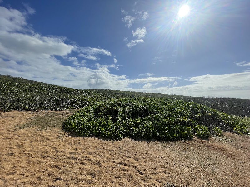 Photo 4 at Cueva Escondida Beach in 
