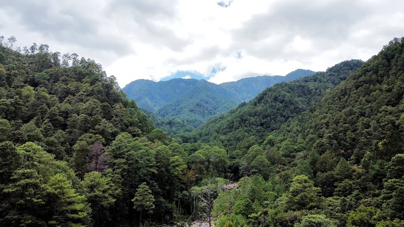 Photo 1 at Parque Nacional Celaque in Gracias
