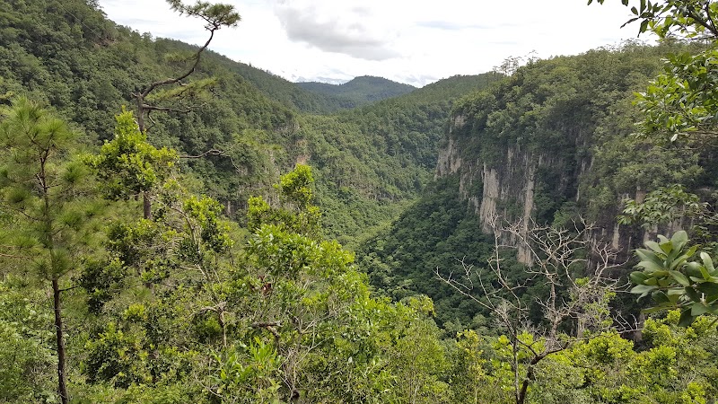 Photo 4 at Parque Nacional Celaque in Gracias