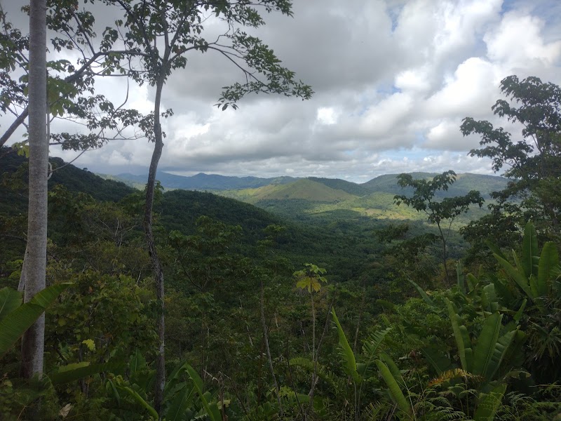 Photo 5 at Darien National Park in 
