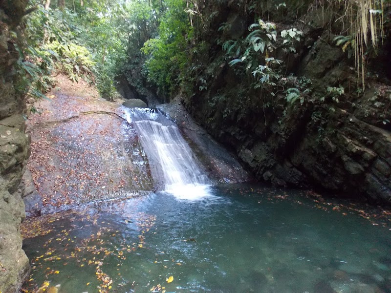 Photo 2 at Darien National Park in 