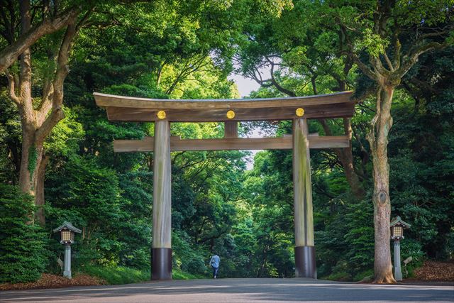Photo 2 at Meiji Jingu in Shibuya
