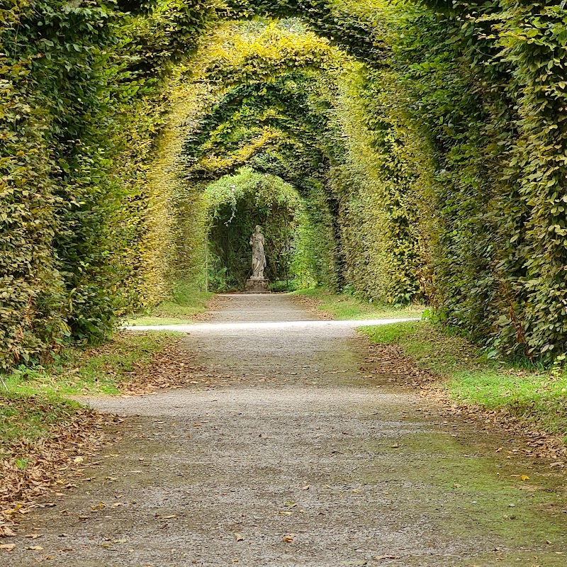 Photo 4 at Birr Castle Demesne in Birr