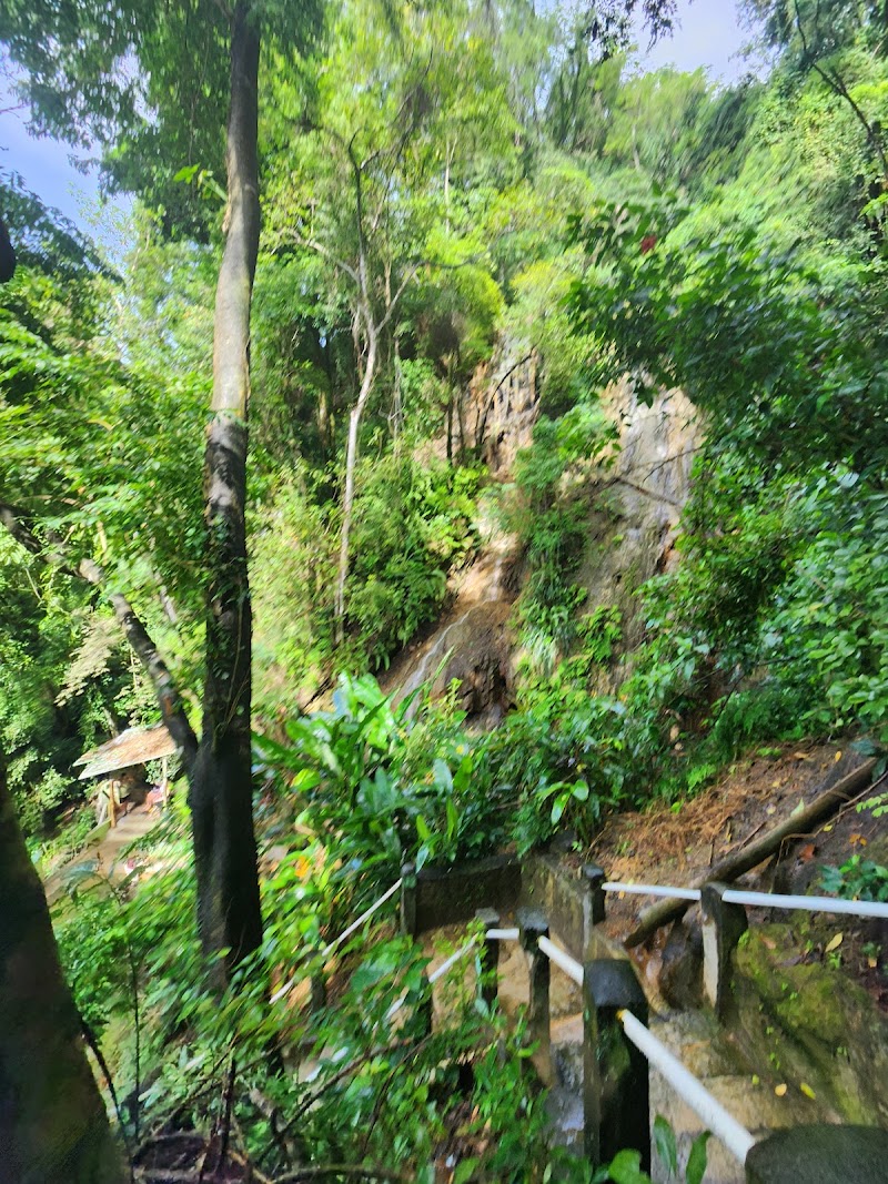 Photo 3 at Piton Falls in Belle Vue