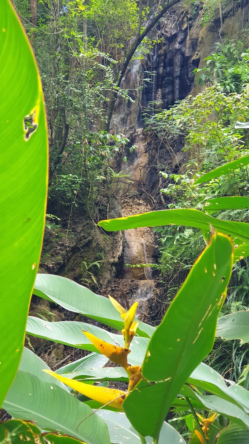 Photo 6 at Piton Falls in Belle Vue