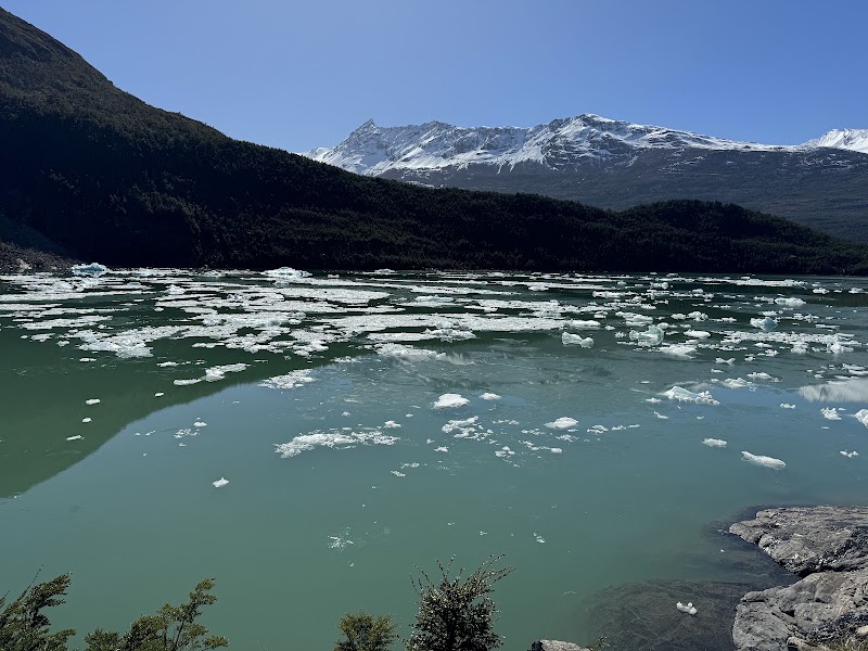 Photo 4 at Mirador Serrano Glacier in Natales