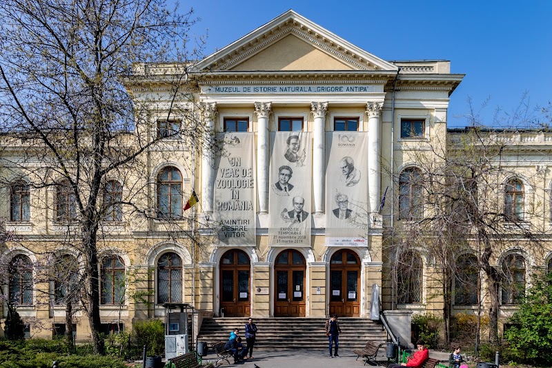 Photo 1 at Grigore Antipa National Museum of Natural History in București