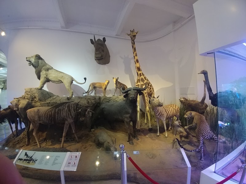 Photo 3 at Grigore Antipa National Museum of Natural History in București