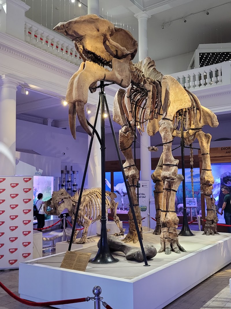Grigore Antipa National Museum of Natural History in București