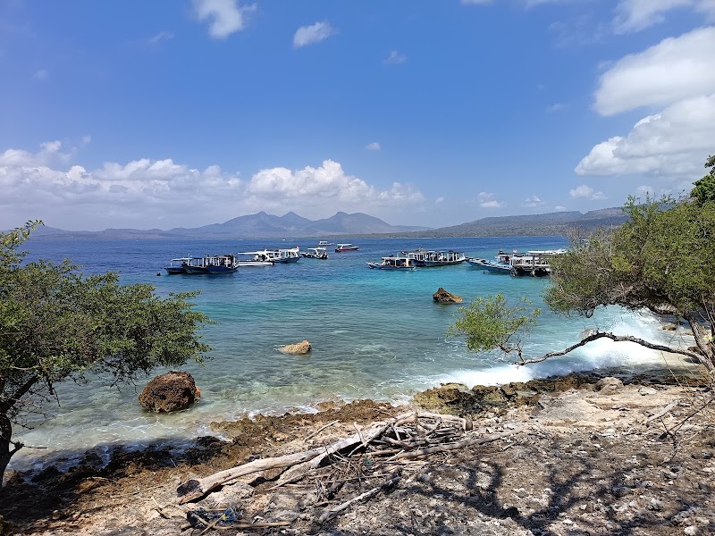 Photo 3 at Menjangan Island in Gerokgak