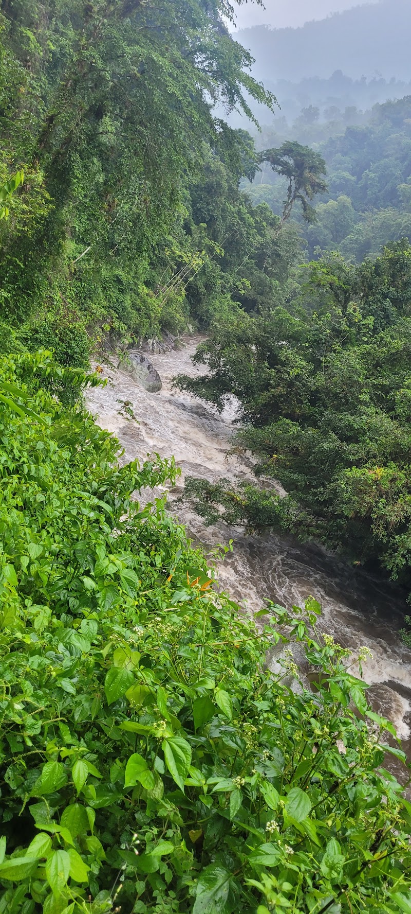 Photo 6 at Ciudad Perdida in 