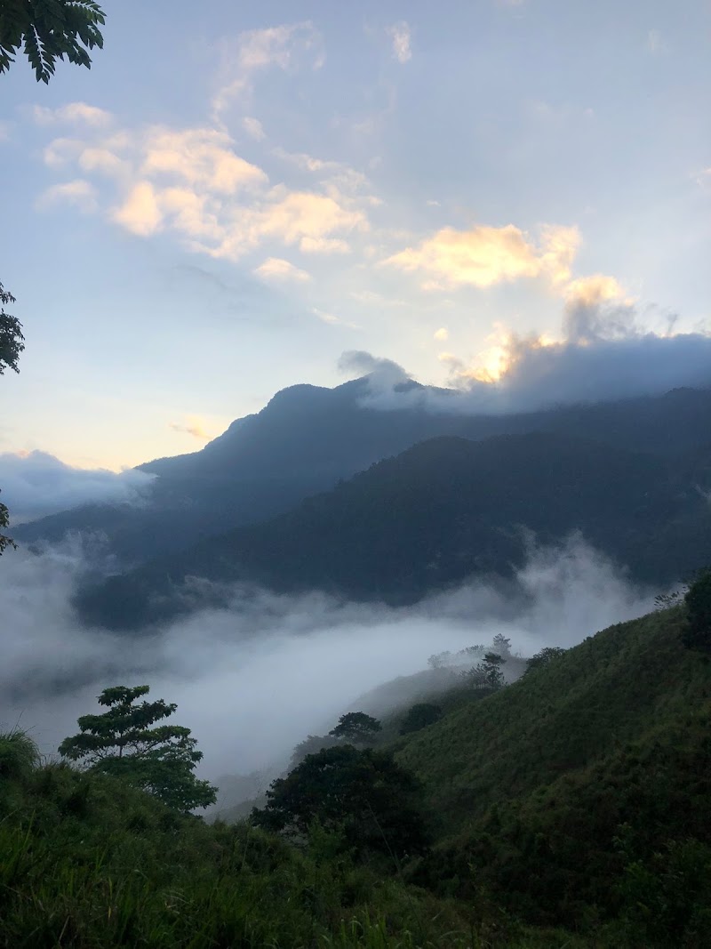 Photo 4 at Ciudad Perdida in 