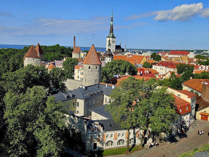 Patkuli Viewing Platform in Tallinn