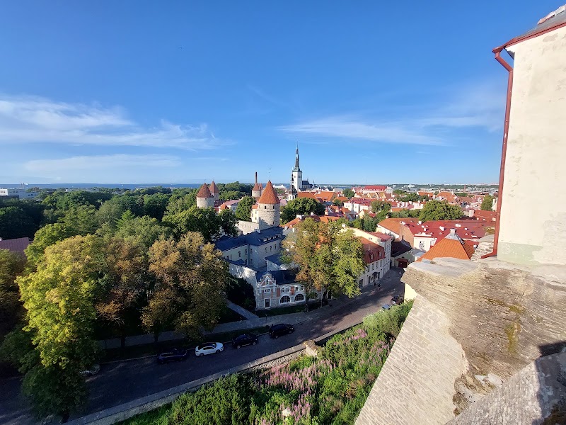 Photo 4 at Patkuli Viewing Platform in Tallinn