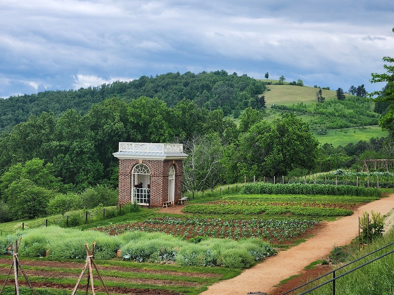 Photo 5 at Monticello in Charlottesville