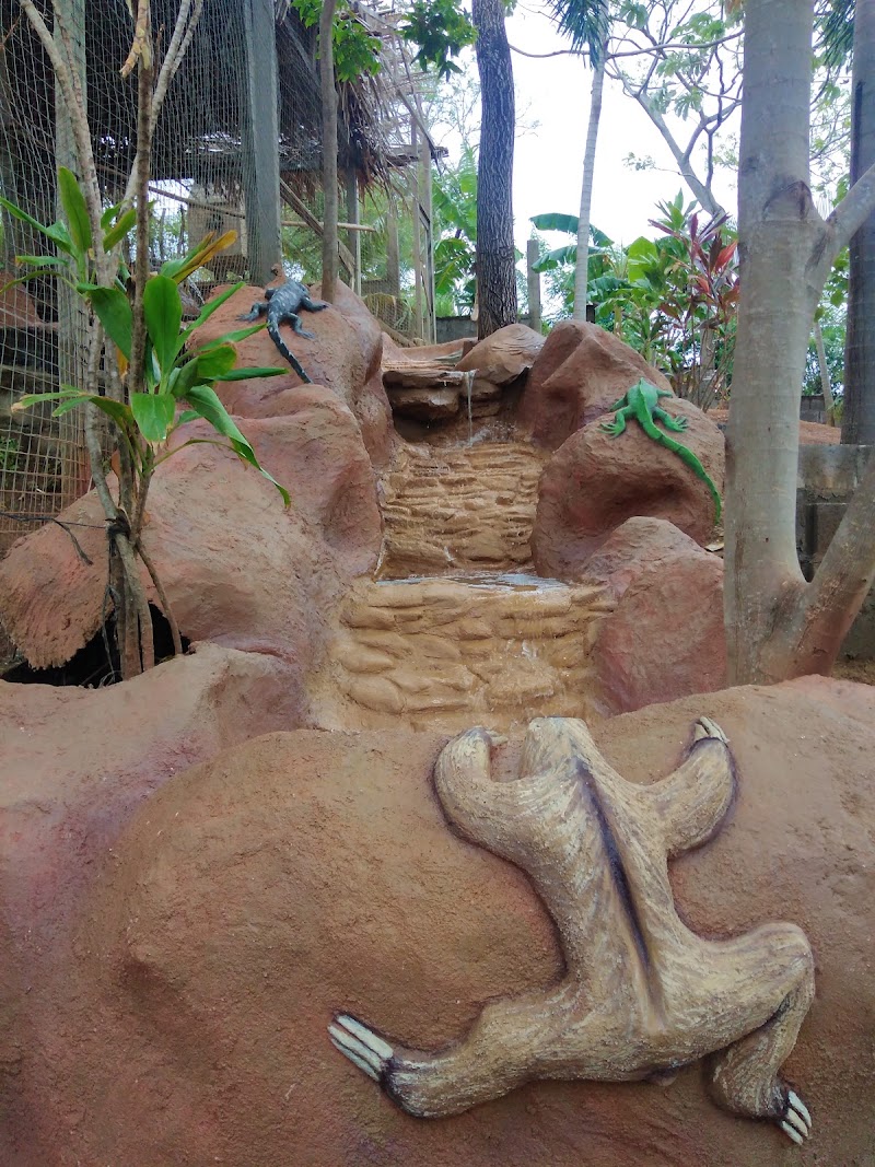 Photo 6 at MANAWAKIE ECO NATURE PARK in Hottest Sparrow