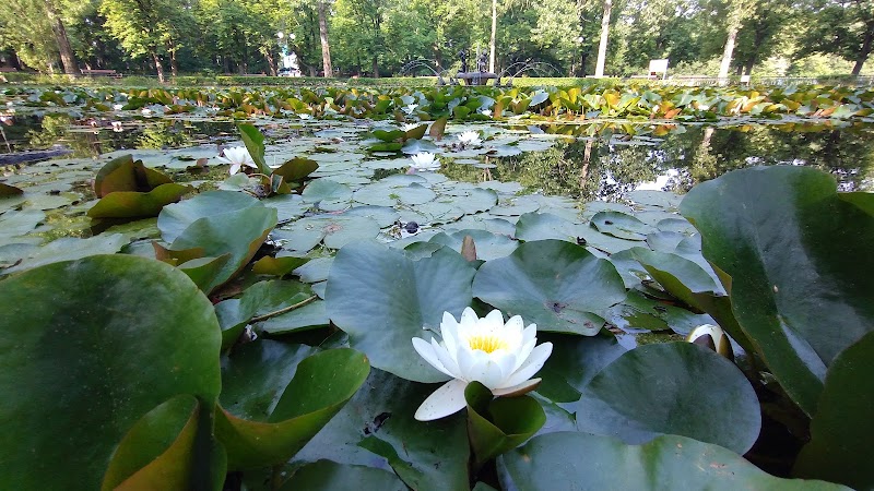 Photo 5 at Borisova Gradina Park in Sofia