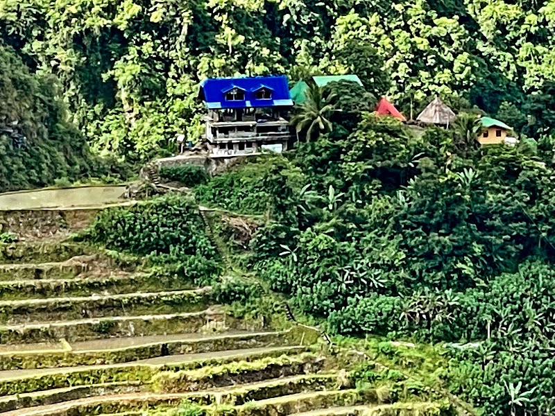 Photo 4 at Rice Terraces of the Philippine Cordilleras in Banaue