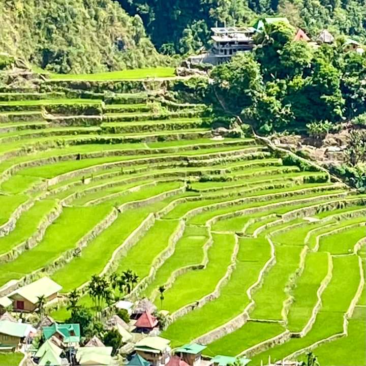 Rice Terraces of the Philippine Cordilleras in Banaue