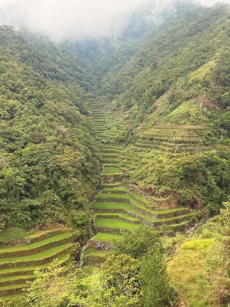 Photo 3 at Rice Terraces of the Philippine Cordilleras in Banaue